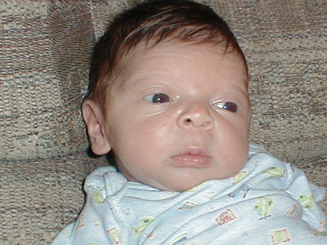 closeup-2weeks