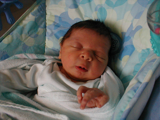 ryland bouncer 3