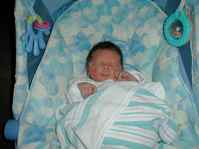 ryland bouncer