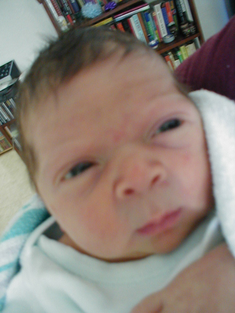 ryland close up day4