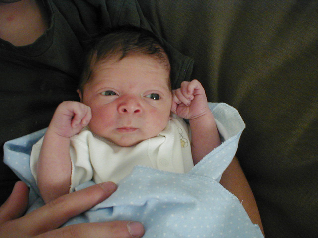 ryland day 9